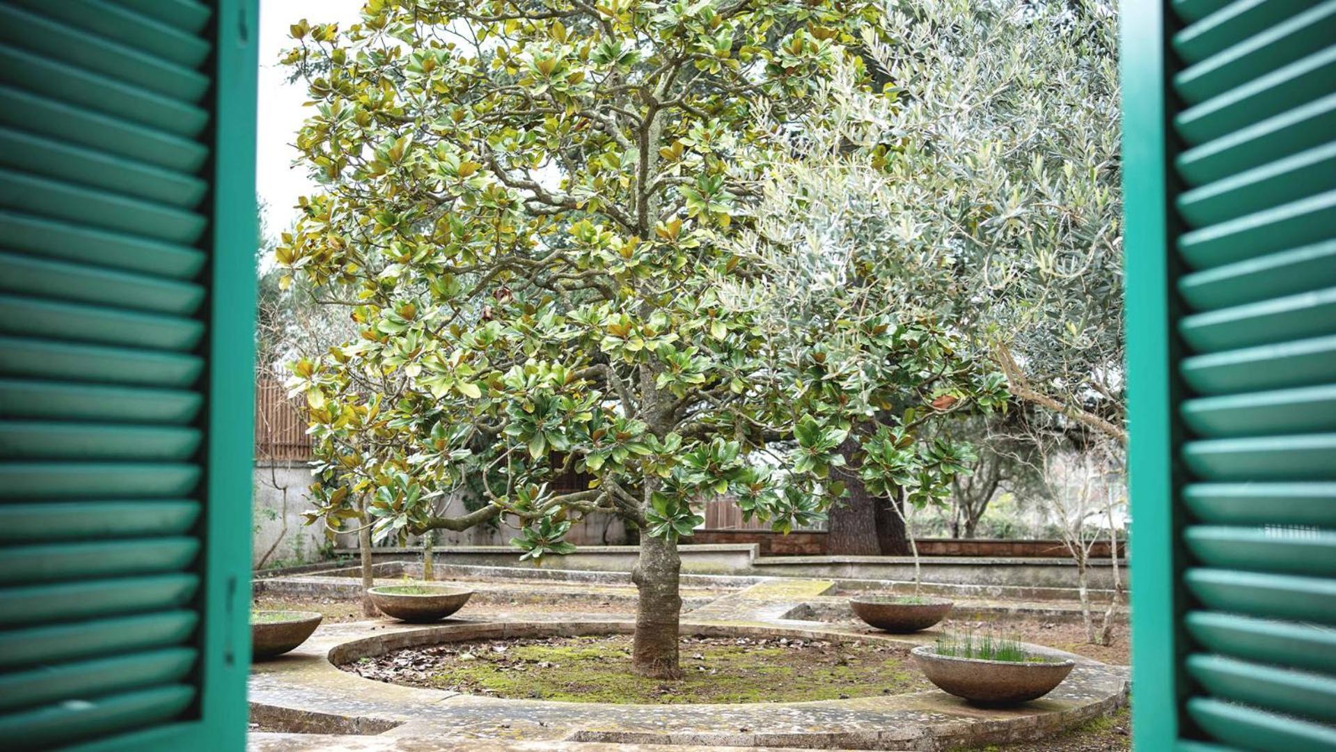 Borgo Lucia Villa Selva Di Fasano Exteriör bild